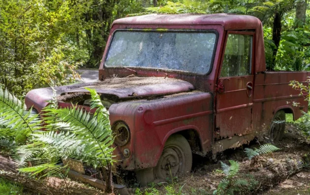 Fast Cash Junk Cars