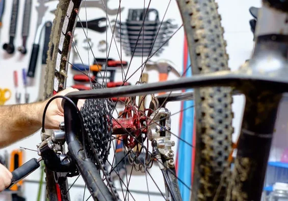 The Bike Rack