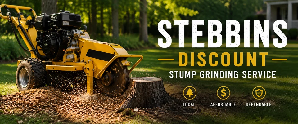 Stebbins Discount Stump Grinding Service