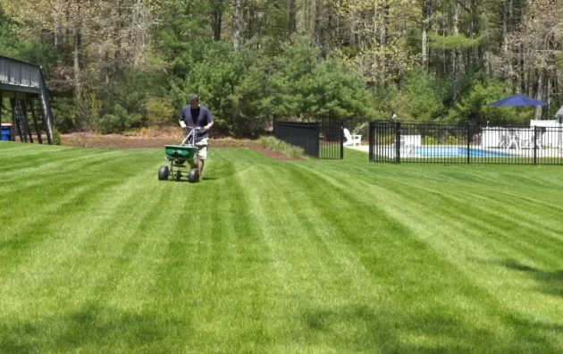 Lawn