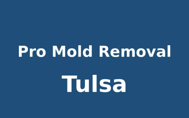 Pro Mold Removal Tulsa